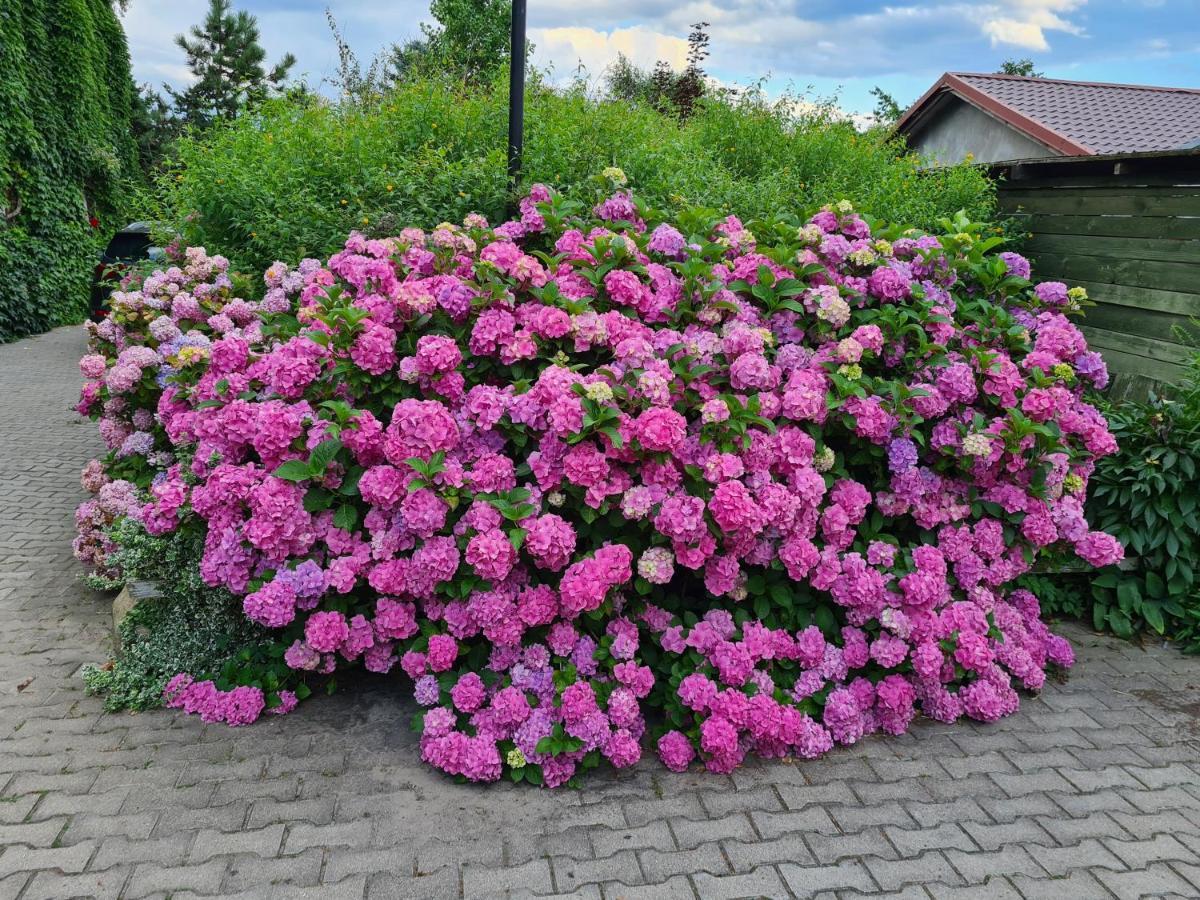 Dworek Sw.Antoniego Slawutowo 외부 사진